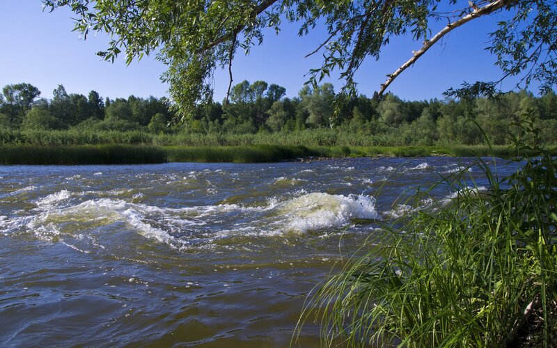 River rapids under blue sky
