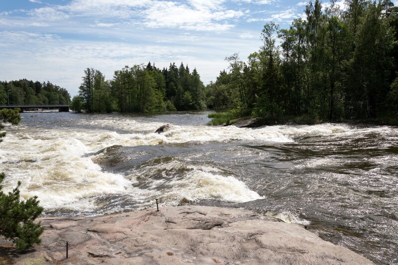 River rapids with forest backdrop