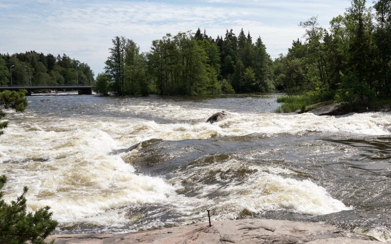 River rapids with forest background