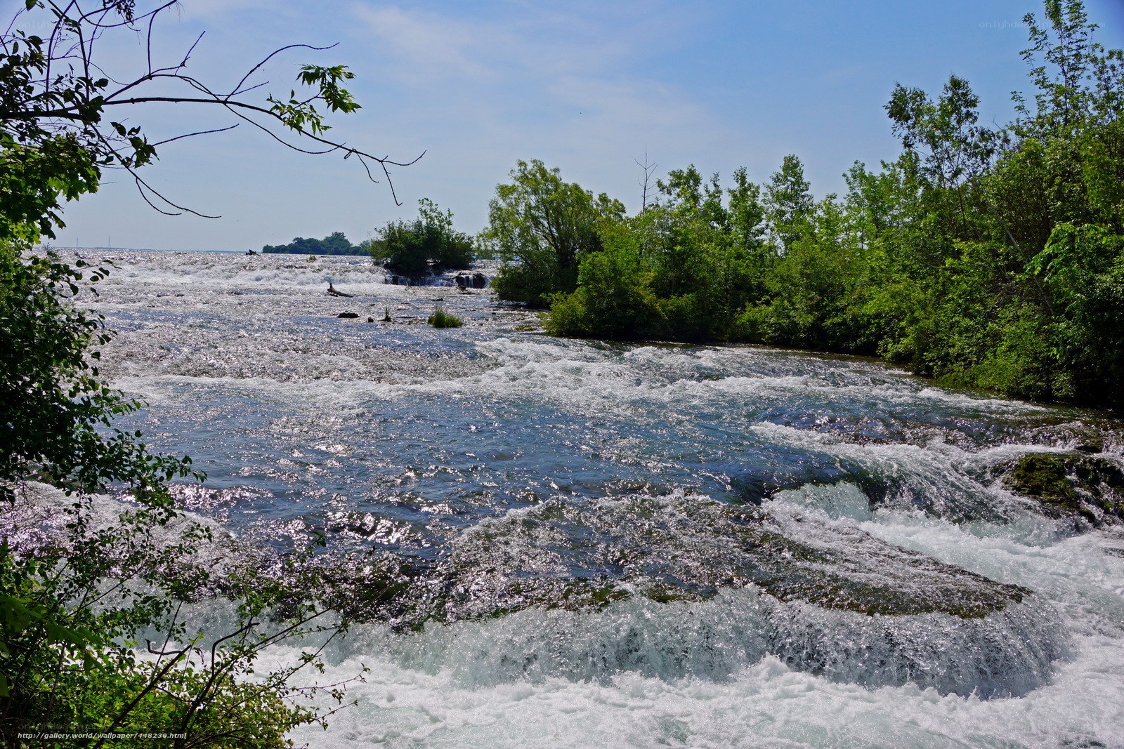 River rapids with lush greenery