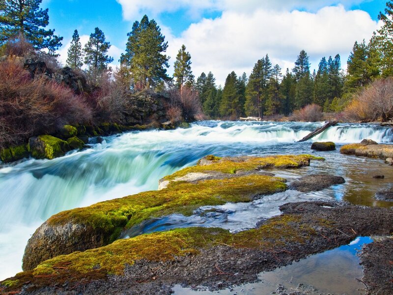 River Rapids with Mossy Rocks