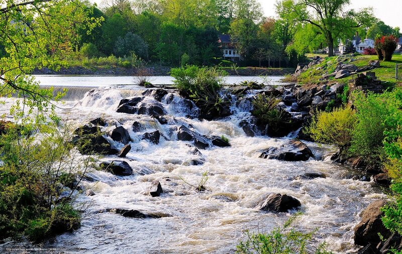 River rapids with rocks and trees