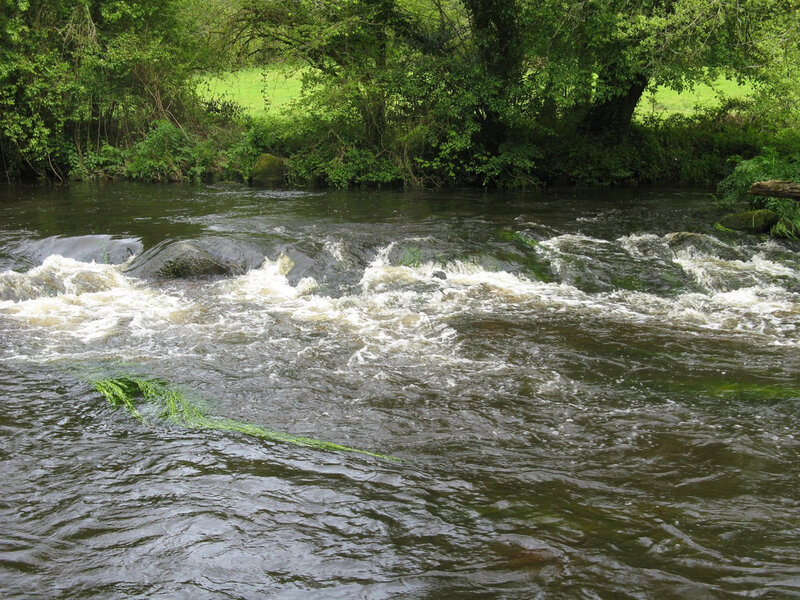 River Rapids with Rocks — Green, Natural, Afternoon
