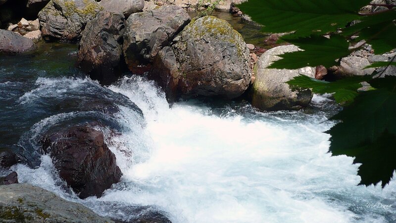river rapids with rocks