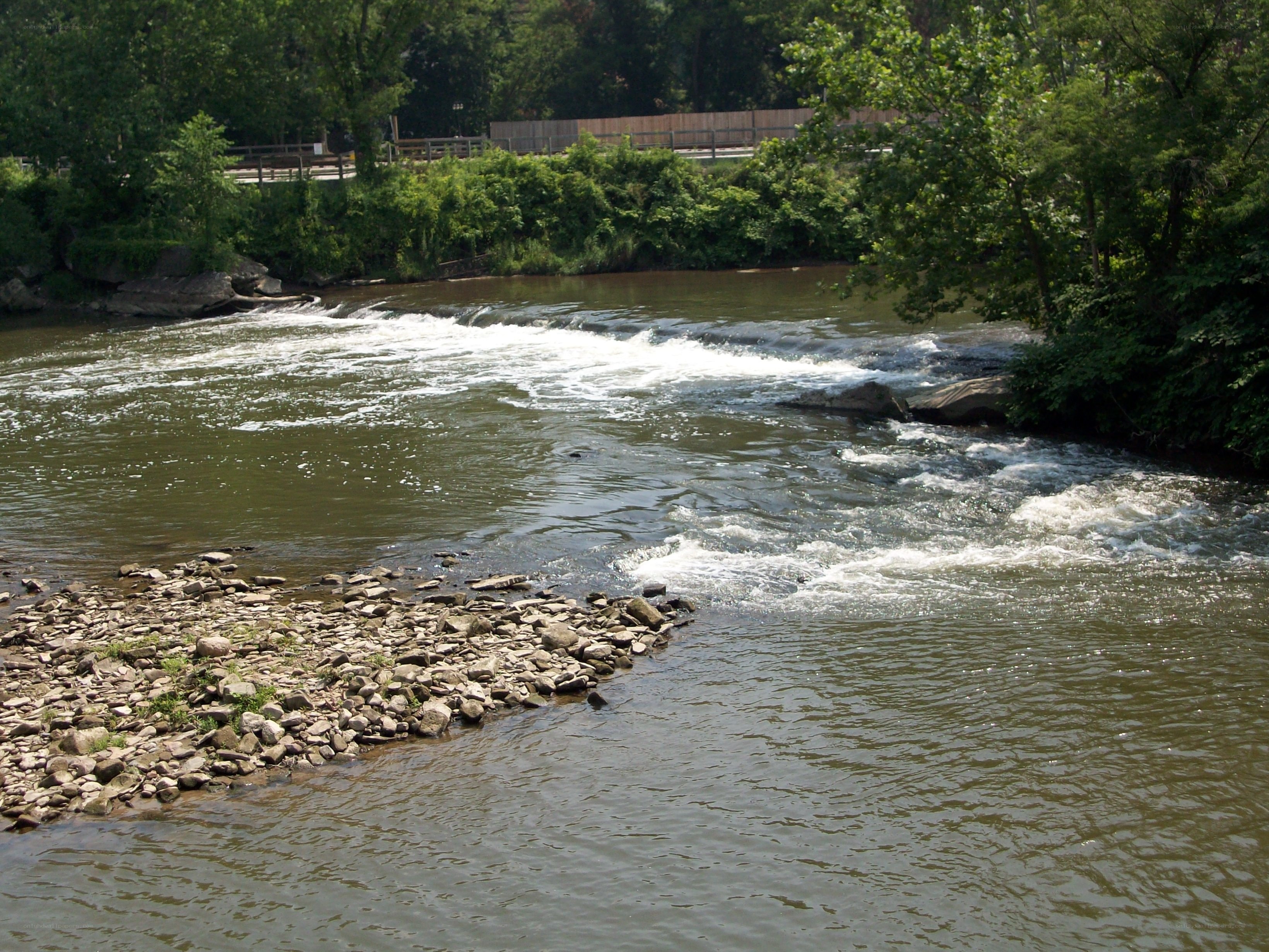 River rapids with rocky shoals
