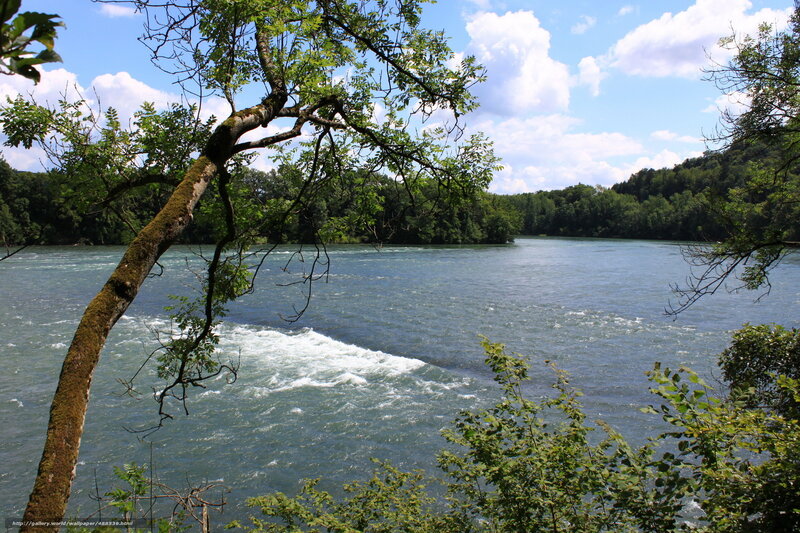 River rapids with tree framing