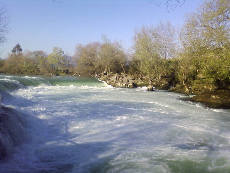 River rapids with trees