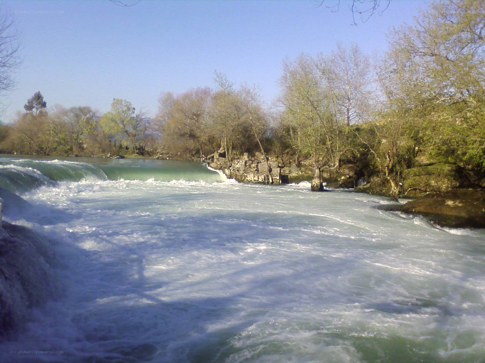 River rapids with trees