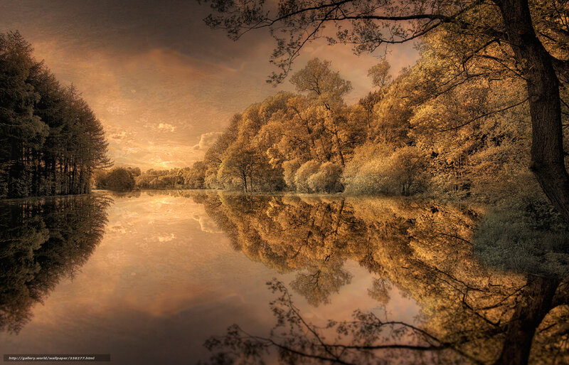 River Reflecting Autumn Trees — Gold