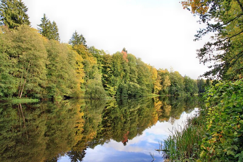 River Reflecting Autumn Trees — Green, Serene
