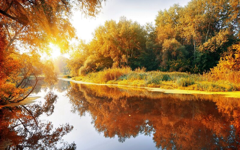 River Reflecting Autumn Trees — Orange, Serene