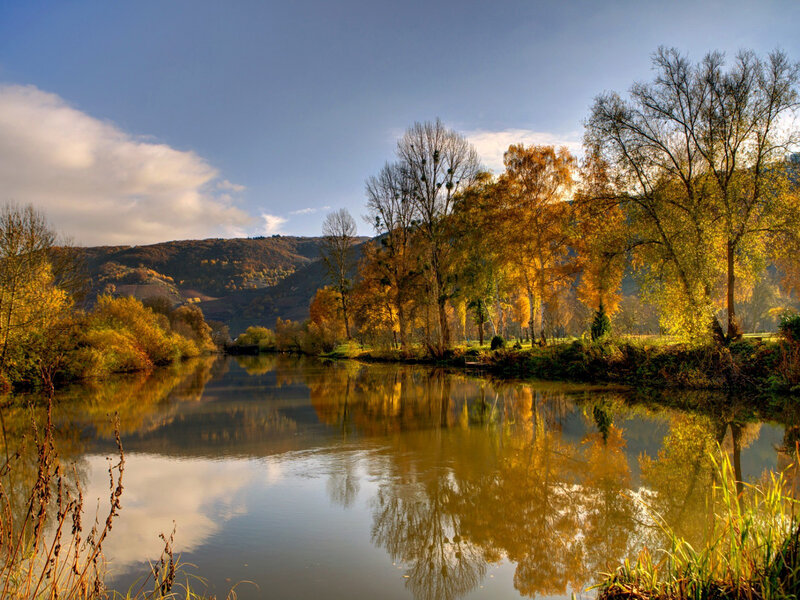 River Reflecting Autumn Trees — Yellow, Serene