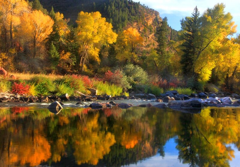 River Reflecting Autumn Trees — Yellow