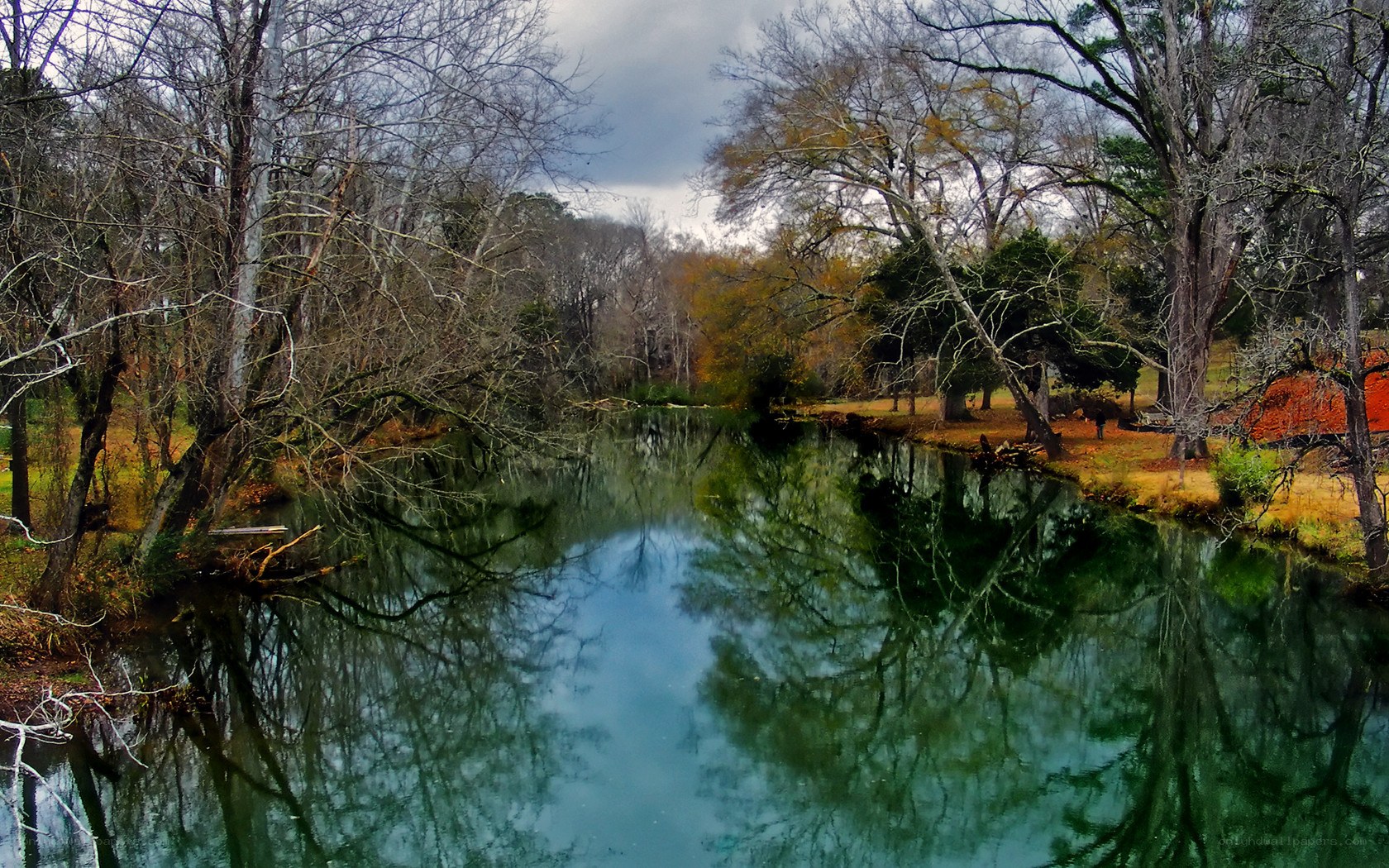 River reflecting bare trees