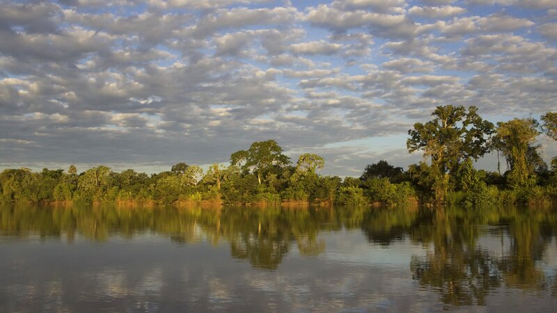 River reflecting forest and clouds