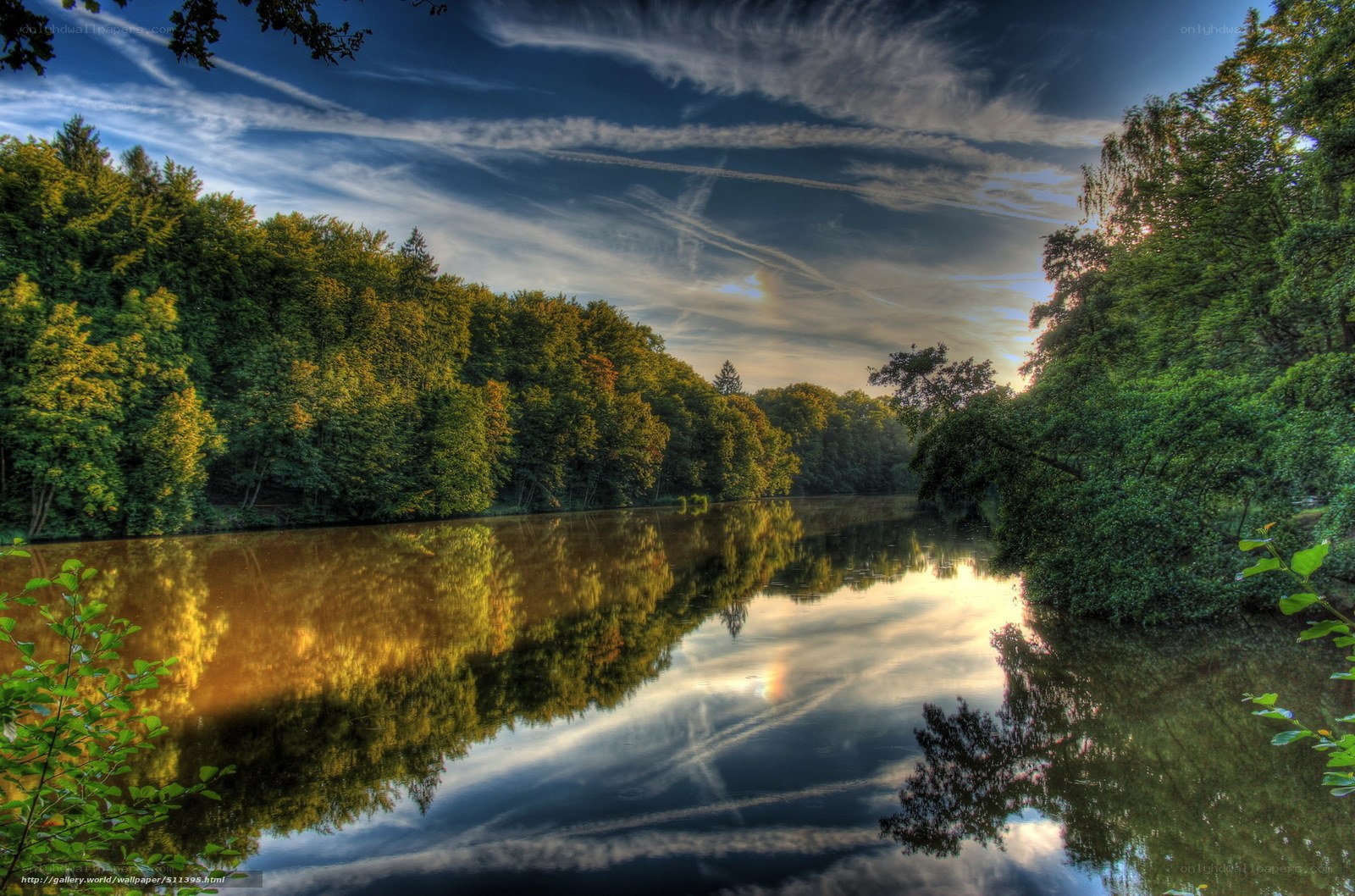 River reflecting forest and sky