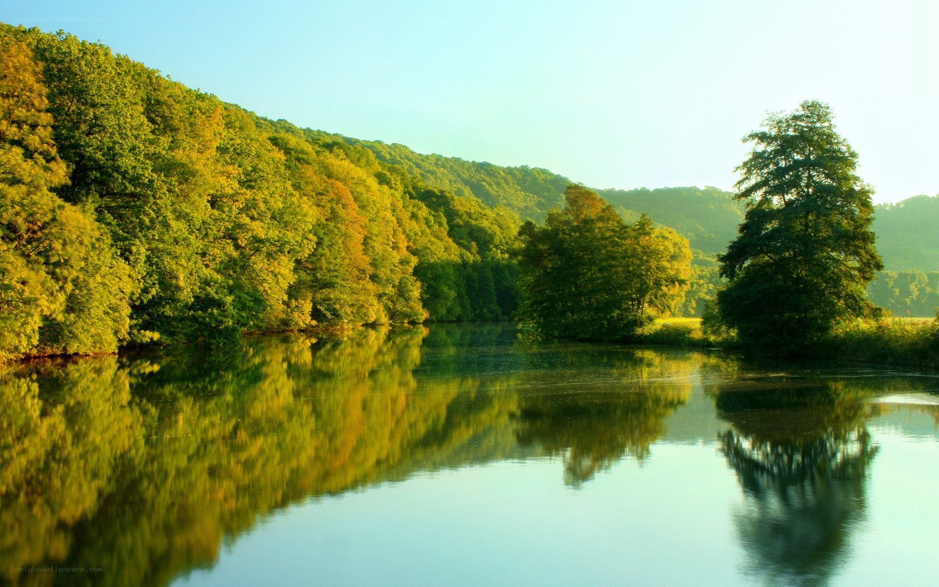 River reflecting forest at sunrise