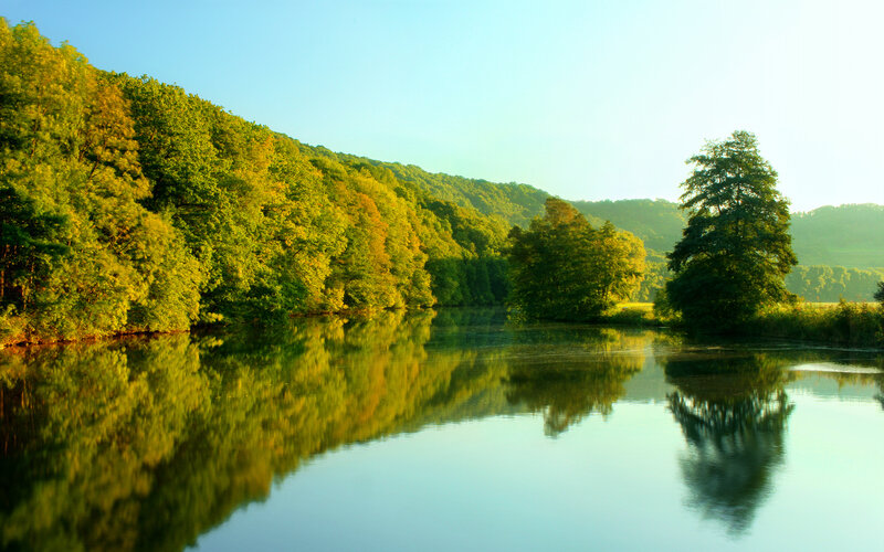 River reflecting forest at sunrise