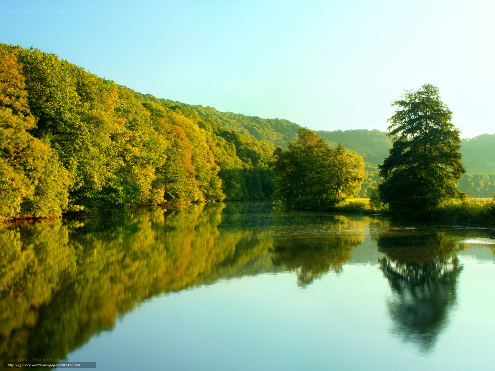 River reflecting forest at sunrise