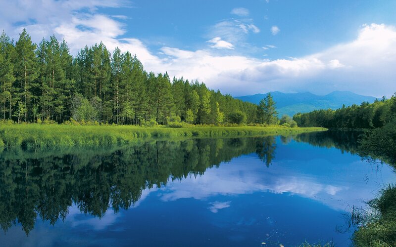 River Reflecting Forest — Blue