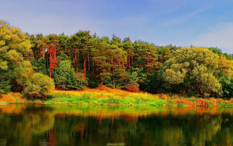 River Reflecting Forest — Green, Serene, Afternoon, Photograph, Trees, Sky
