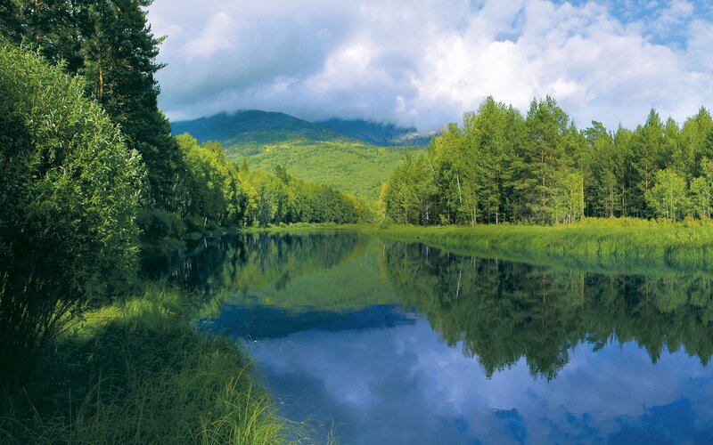 River Reflecting Forest — Green, Serene, Afternoon