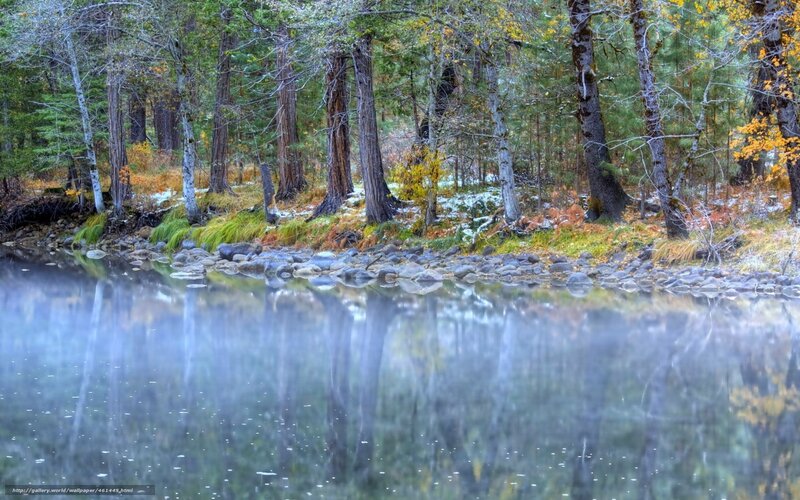 River Reflecting Forest — Green, Serene, Autumn