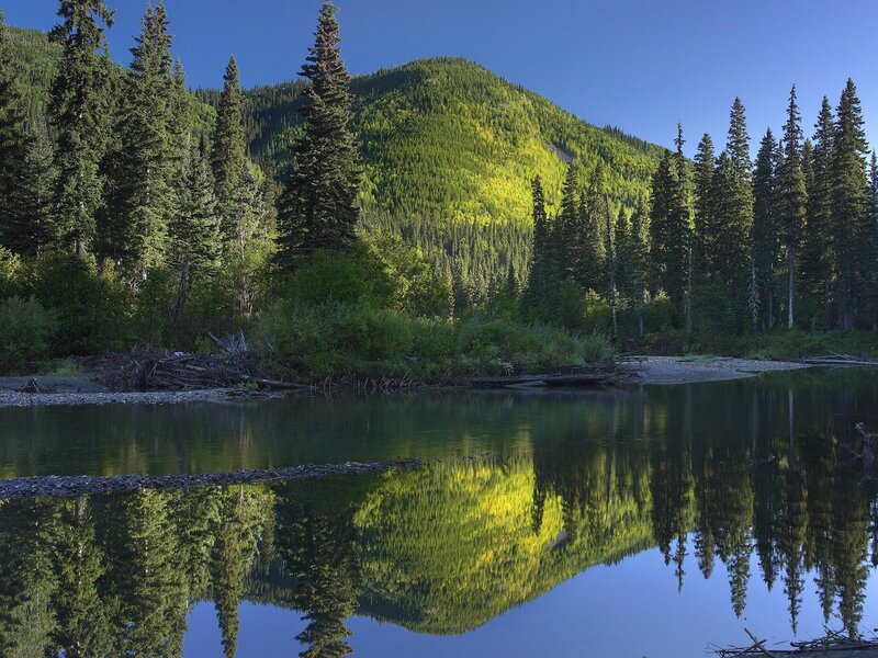 River Reflecting Forest — Green, Serene, Morning