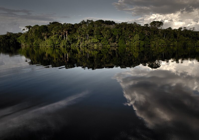 River Reflecting Forest — Green