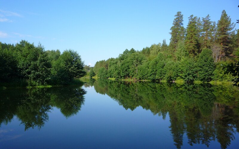 River reflecting forest trees