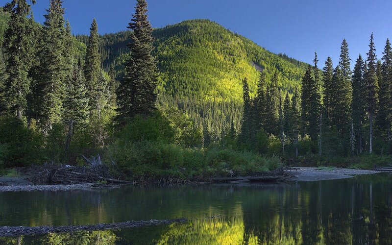 River Reflecting Forested Mountain — Green, Serene, Afternoon, Photograph, Trees, Blue