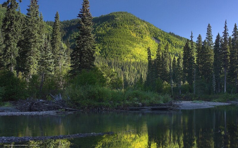 River Reflecting Forested Mountain — Green, Serene