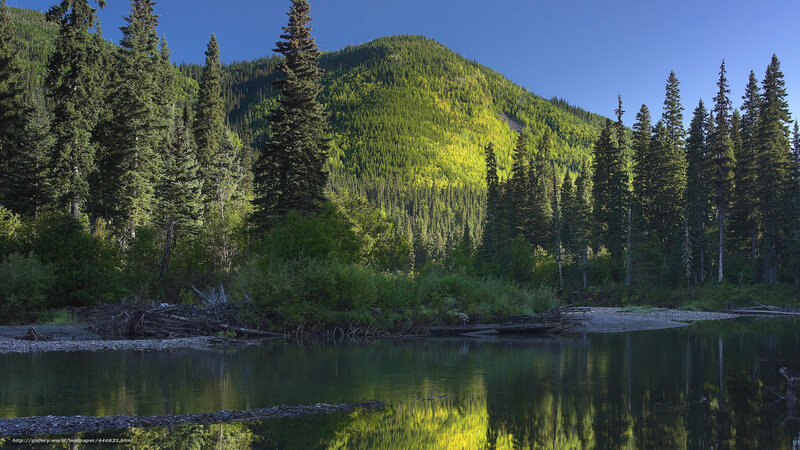River Reflecting Forested Mountain — Green