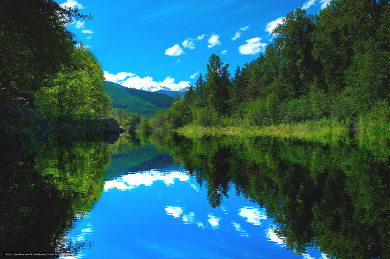 River reflecting sky and trees
