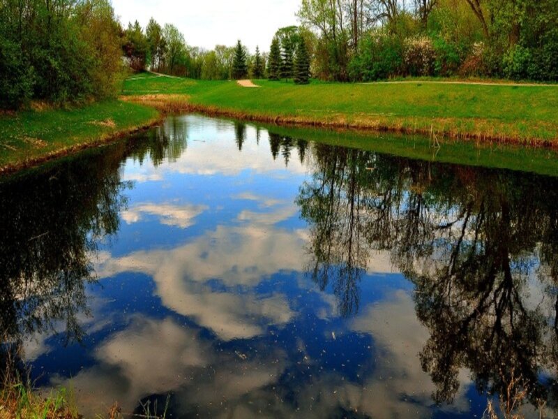 River Reflecting Sky — Blue, Serene, Afternoon, Photograph, Trees
