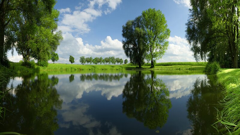 River Reflecting Sky — Green, Serene, Afternoon, Photograph, Trees, Clouds