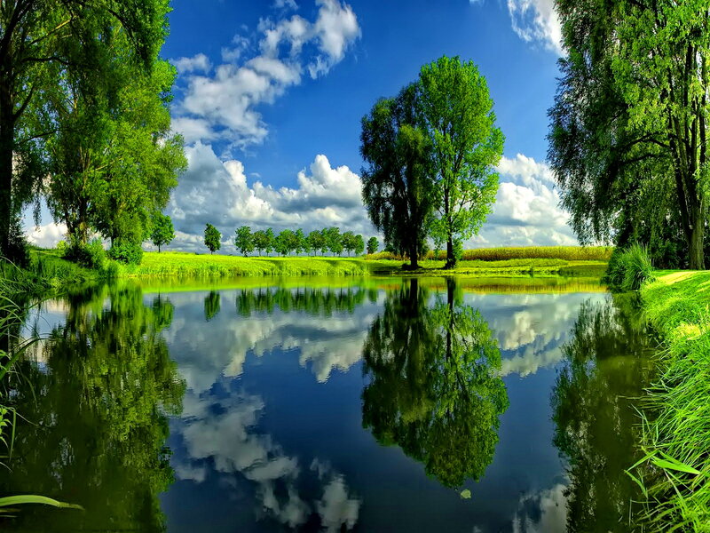 River Reflecting Sky — Green, Serene, Afternoon, Photograph, Trees