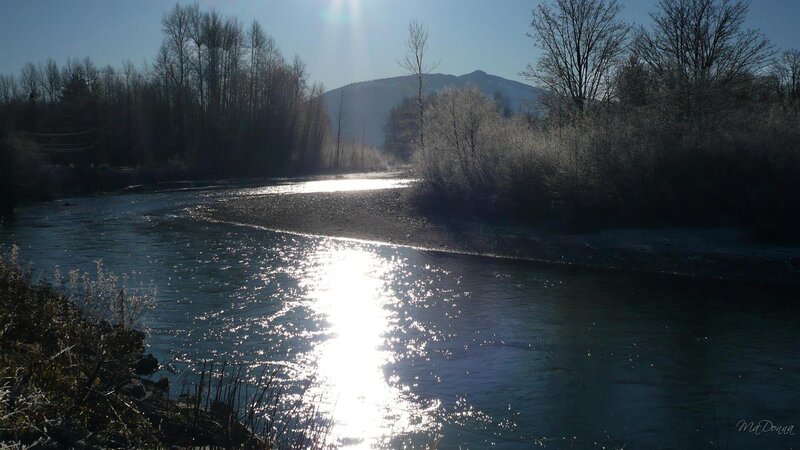 River reflecting sunlight