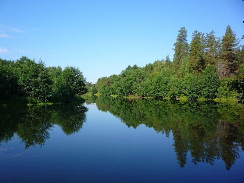 River Reflecting Trees — Blue, Serene, Afternoon