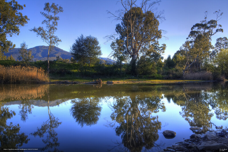 River Reflecting Trees — Blue, Serene, Morning