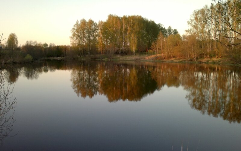 River Reflecting Trees — Blue, Serene, Sunset, Photograph