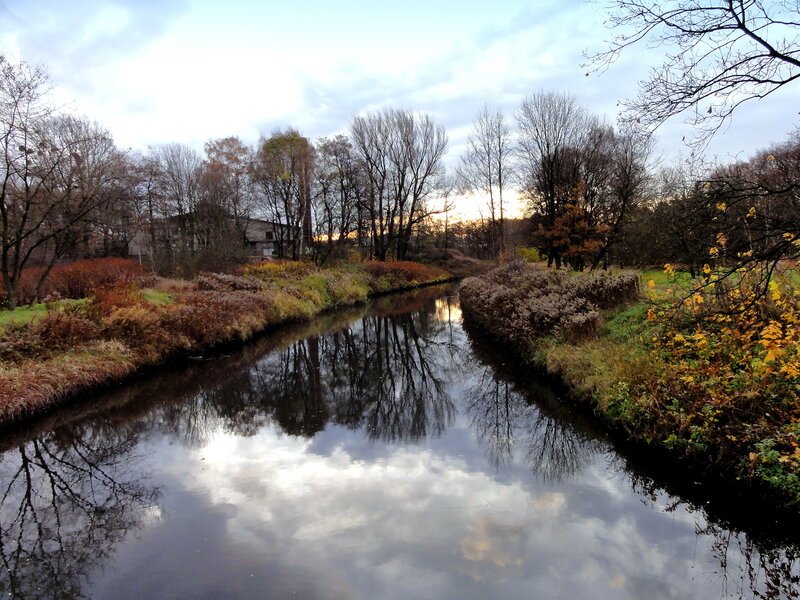 River Reflecting Trees — Blue