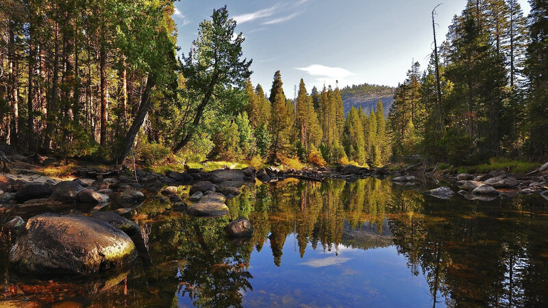River Reflecting Trees — Green, Serene, Afternoon, Photograph, Rocks