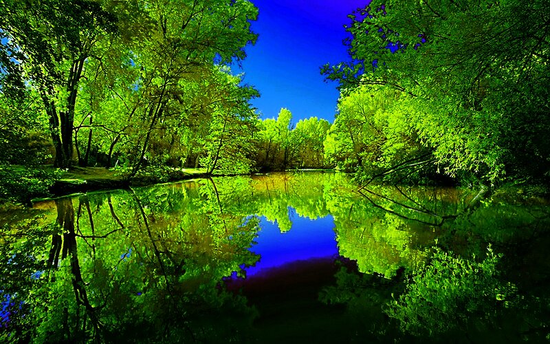 River Reflecting Trees — Green, Serene, Afternoon, Photograph, Sky