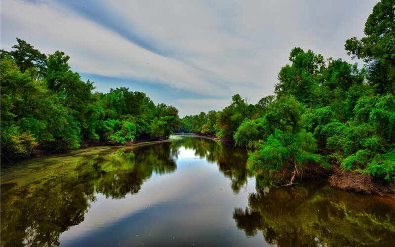River Reflecting Trees — Green, Serene, Afternoon, Photograph
