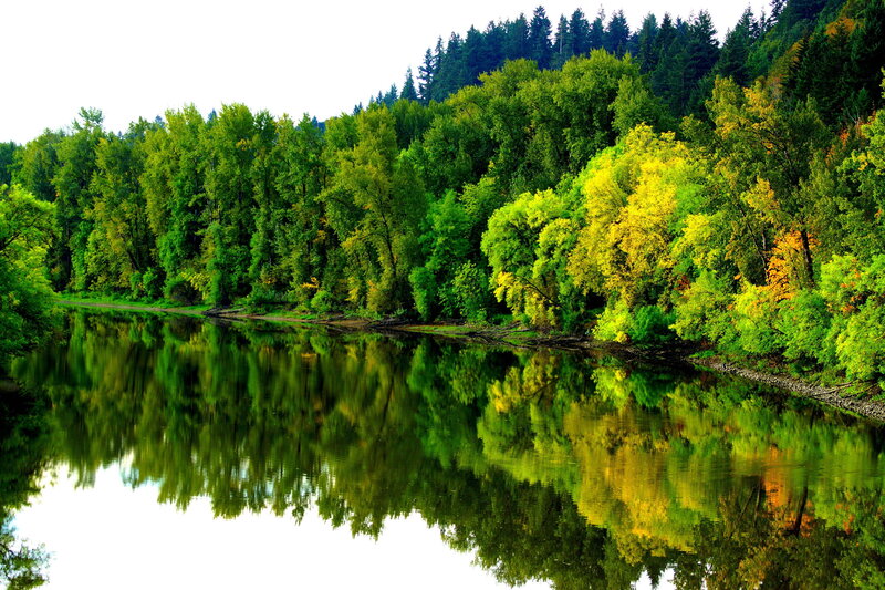River Reflecting Trees — Green, Serene, Autumn, Photograph