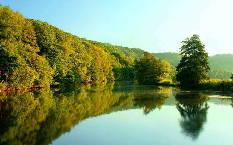 River Reflecting Trees — Green, Serene, Morning, Photograph