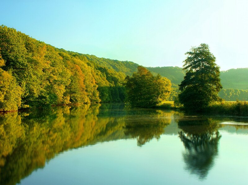 River Reflecting Trees — Green, Serene, Morning