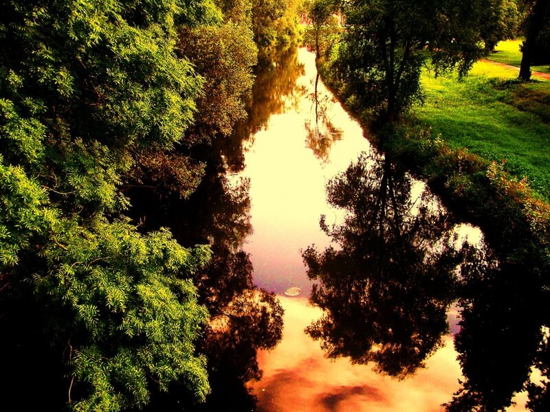 River Reflecting Trees — Green, Serene, Sunset