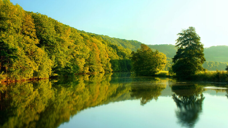 River Reflecting Trees — Green, Serene